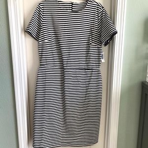 BNWT Old Navy dress